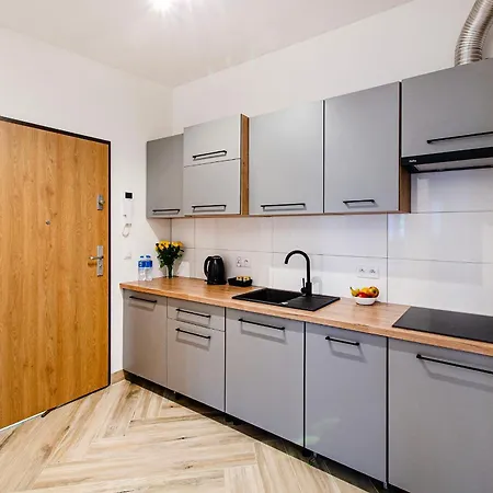 Apartment Loft Center Apartments- Parking, Wifi, 24h Check-in Wroclaw