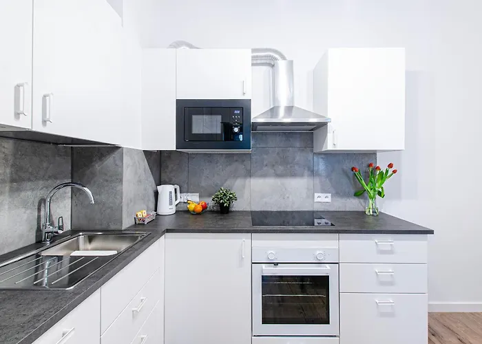 Loft Center Apartments- Parking, Wifi, 24h Check-in Apartment *